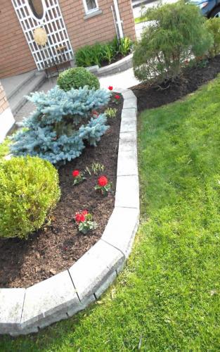 Spring Annual Planting