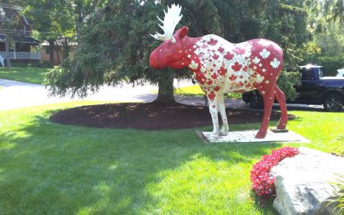 Spruce Tree Landscape Fabric and Mulch