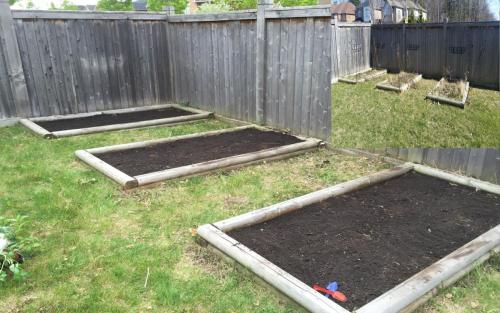 Vegetable Garden Cultivating