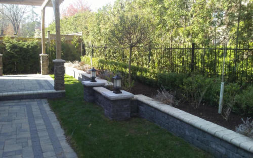 backyard boxwood hedge 