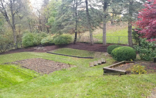 backyard curvy garden cleanup 