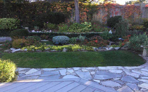 backyard english garden 