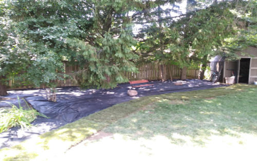 backyard garden with fabric 2 