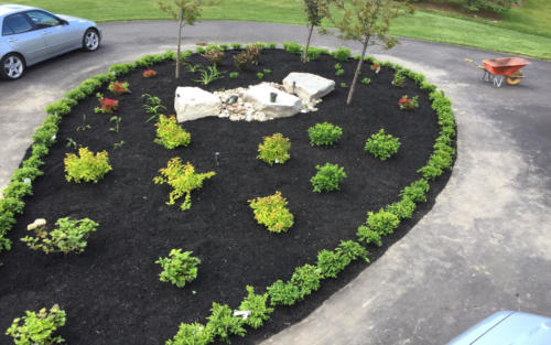 driveway garden design 