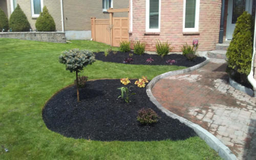 small front garden planting whitby landscaping