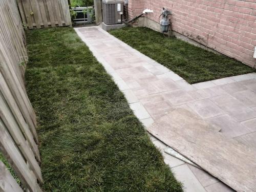 2021-Modern-interlock-path-in-backyard-and-side-yard-with-new-sod-in-Whitby-Trevista-50-Driftwood