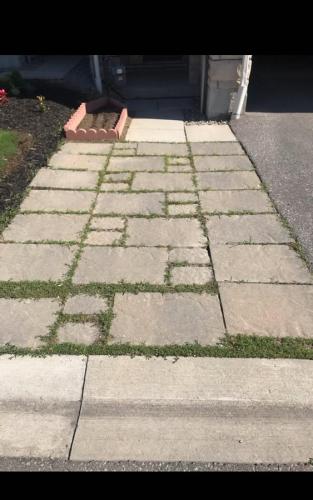 2021-t1-Before-interlock-overhaul-beside-driveway-working-around-small-garden