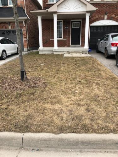 2021-y1-Before-early-spring-interlock-project-in-front-yard