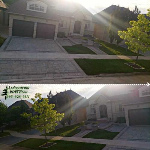 2024-Whitby-Landscaping-Landscaping-33-Front-Interlock