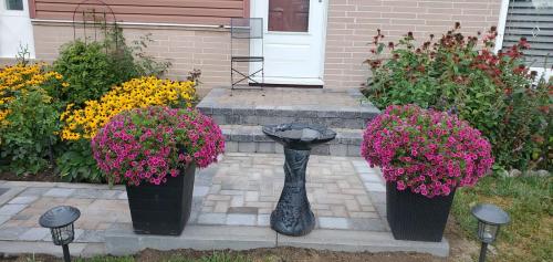 37 - Front Entrance with Steps Whitby Interlock