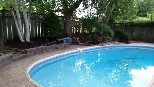 Backyard Pool Landscaping After 2