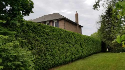 2023-Gardens-26-Whitby-Landscaping
