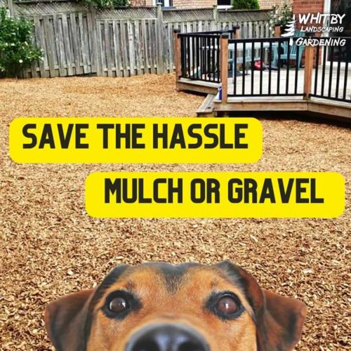 2024-Whitby-Landscaping-Gardening-14-No-Grass