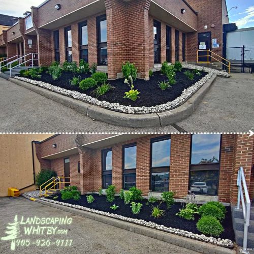 2024-Whitby-Landscaping-Gardening-5-Commercial-Garden