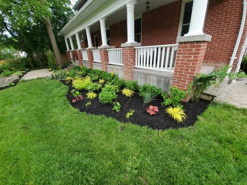 23-Planting-Project-Brooklin