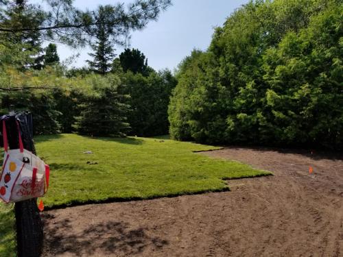 2021-1a2-Large-backyard-sod-installation-before