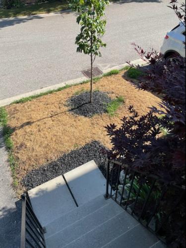 2021-j1-Before-sod-at-townhome-in-Ajax