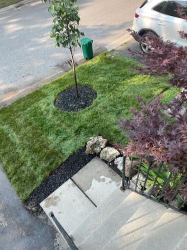 2021-j2-After-sod-completion-of-front-yard-in-townhouse-complex-in-Ajax