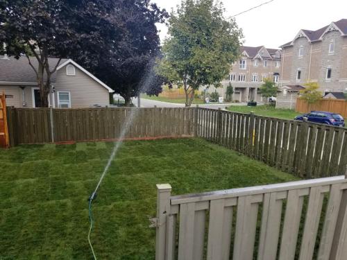 2021-t11-After-sod-installed-and-fence-replaced-to-complete-the-project