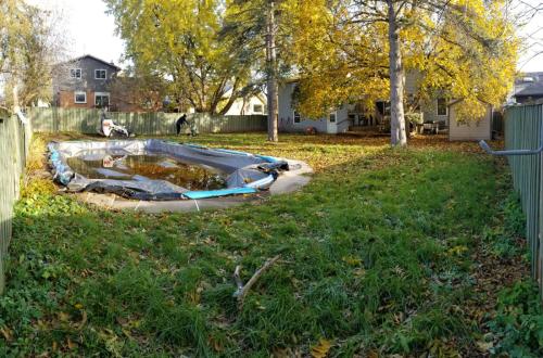 2021-u1-Before-a-backyard-sod-project-in-Whitby-around-a-pool-in-late-fall