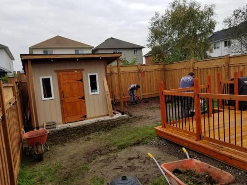 2021-v1-Working-to-remove-a-backyard-lawn-at-a-sod-project-in-Whitby-Shores-in-Autumn
