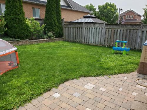 2021-z1-Before-backyard-lawn-in-Whitby-Shores-re-sodded