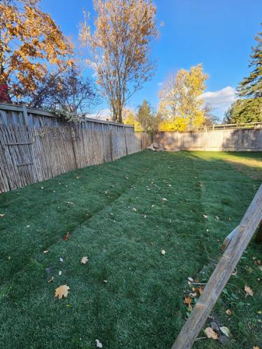 2023-Sod-Turf-1-After-Whitby-Landscaping