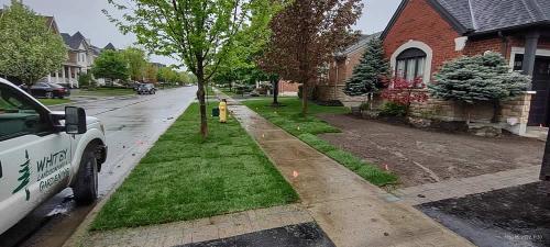 2023-Sod-Turf-13-Whitby-Landscaping