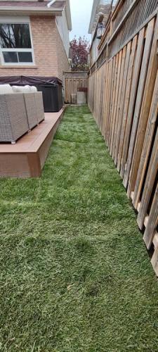 2023-Sod-Turf-15-Whitby-Landscaping