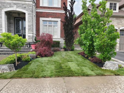 2023-Sod-Turf-24-Whitby-Landscaping