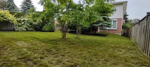 2023-Sod-Turf-25-Whitby-Landscaping