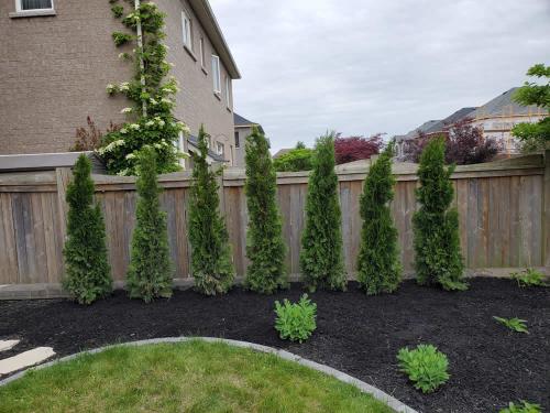 2023-Gardens-24-Whitby-Landscaping