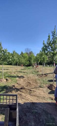 2023-Gardens-53-Whitby-Landscaping