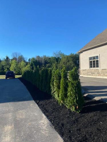 2023-Gardens-55-Whitby-Landscaping