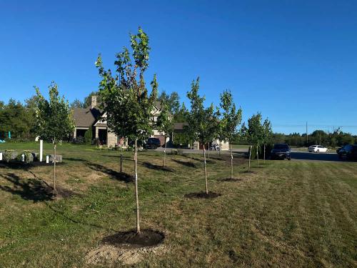 2023-Gardens-56-Whitby-Landscaping