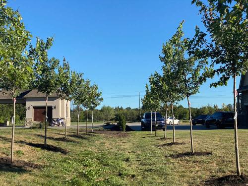 2023-Gardens-57-Whitby-Landscaping