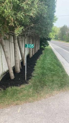 2024-Whitby-Landscaping-Tree-Care-7