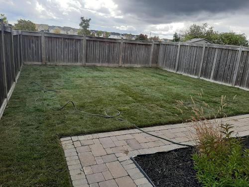 100 - Backyard sod with path