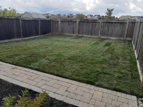 101 - Backyard sod with path