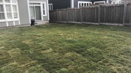 103 - Full property sod Brooklin