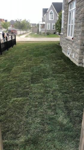 104 - Full property sod Brooklin