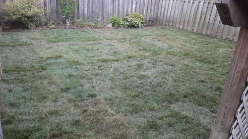 109 - Backyard Whitby