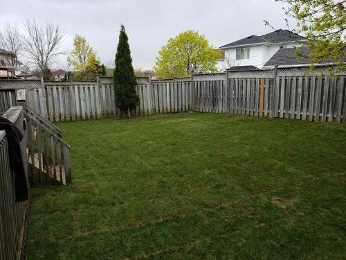 111 - Large backyard installation sod