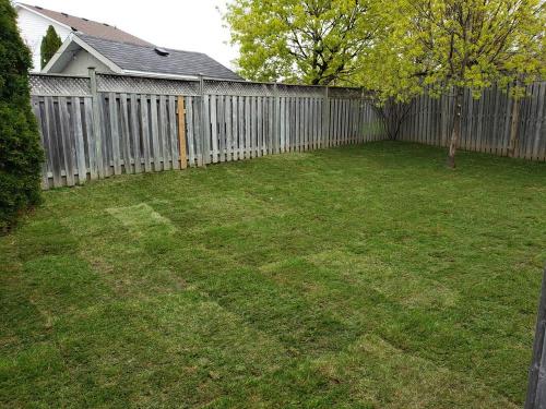 112 - Large backyard installation sod