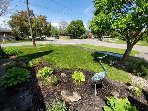 11 - After laying sod