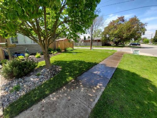 12 - After laying sod