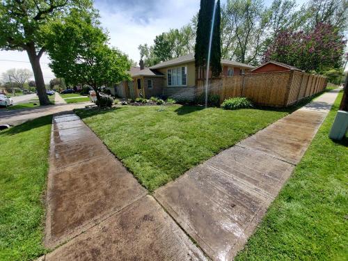 13 - After laying sod