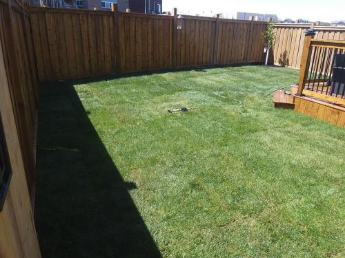 14 - Simple backyard sod