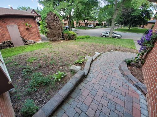 16 - Front yard sod replacement before