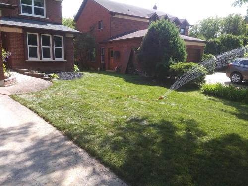 17 - Front yard so after